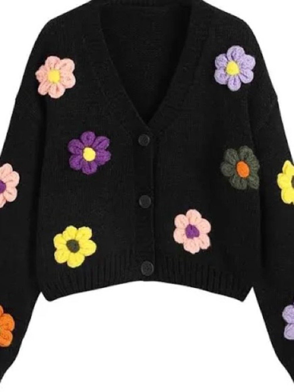 Cider Black Cardigan with Multicolor Flower Appliqués